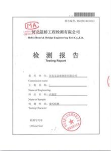 天门公司检测报告